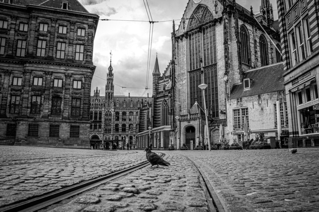 Profiles: Hester Baks – ”Om nu niet te fotograferen voelt onmogelijk.”