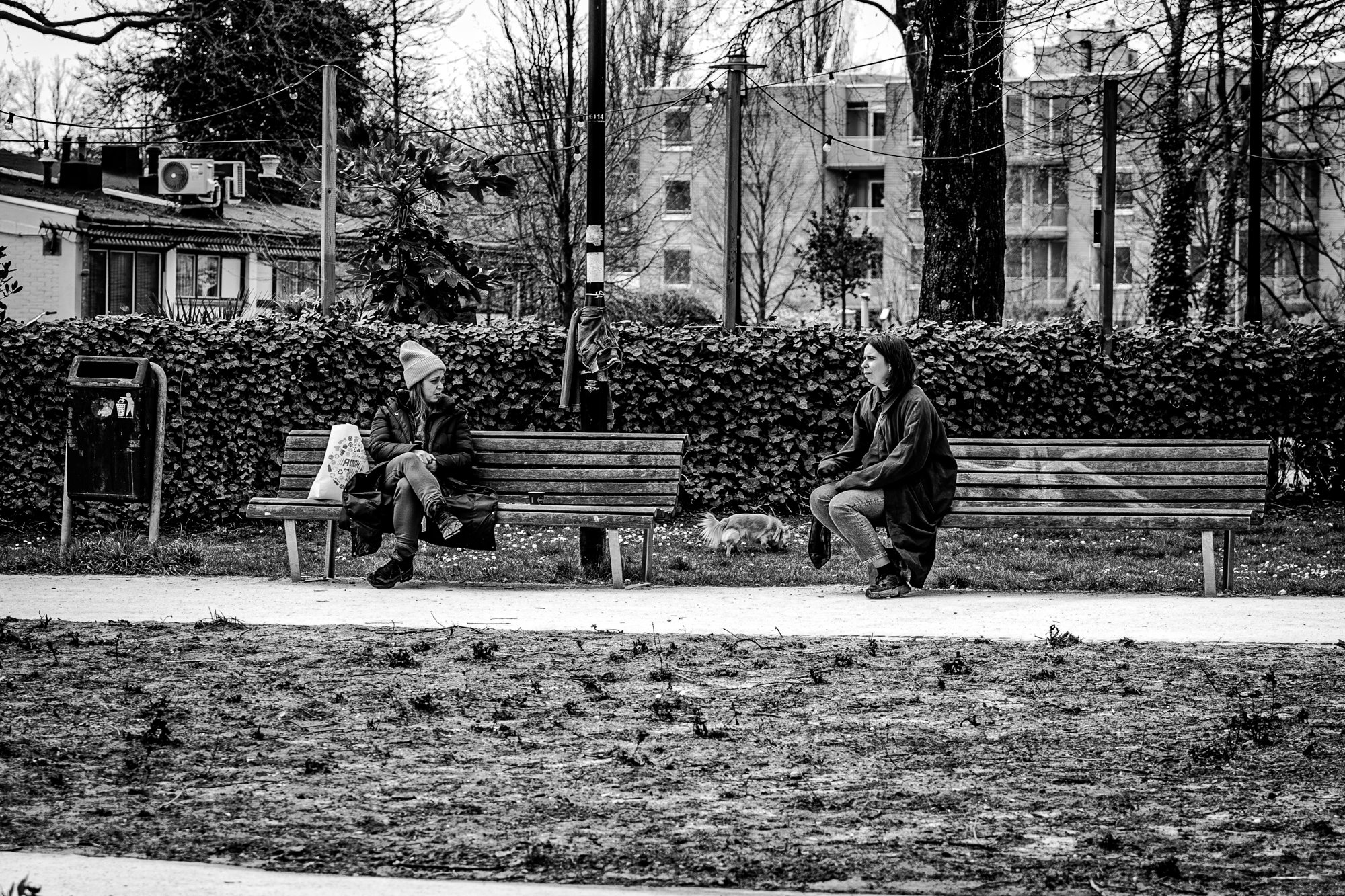 Profiles: Hester Baks – ”Om nu niet te fotograferen voelt onmogelijk.”