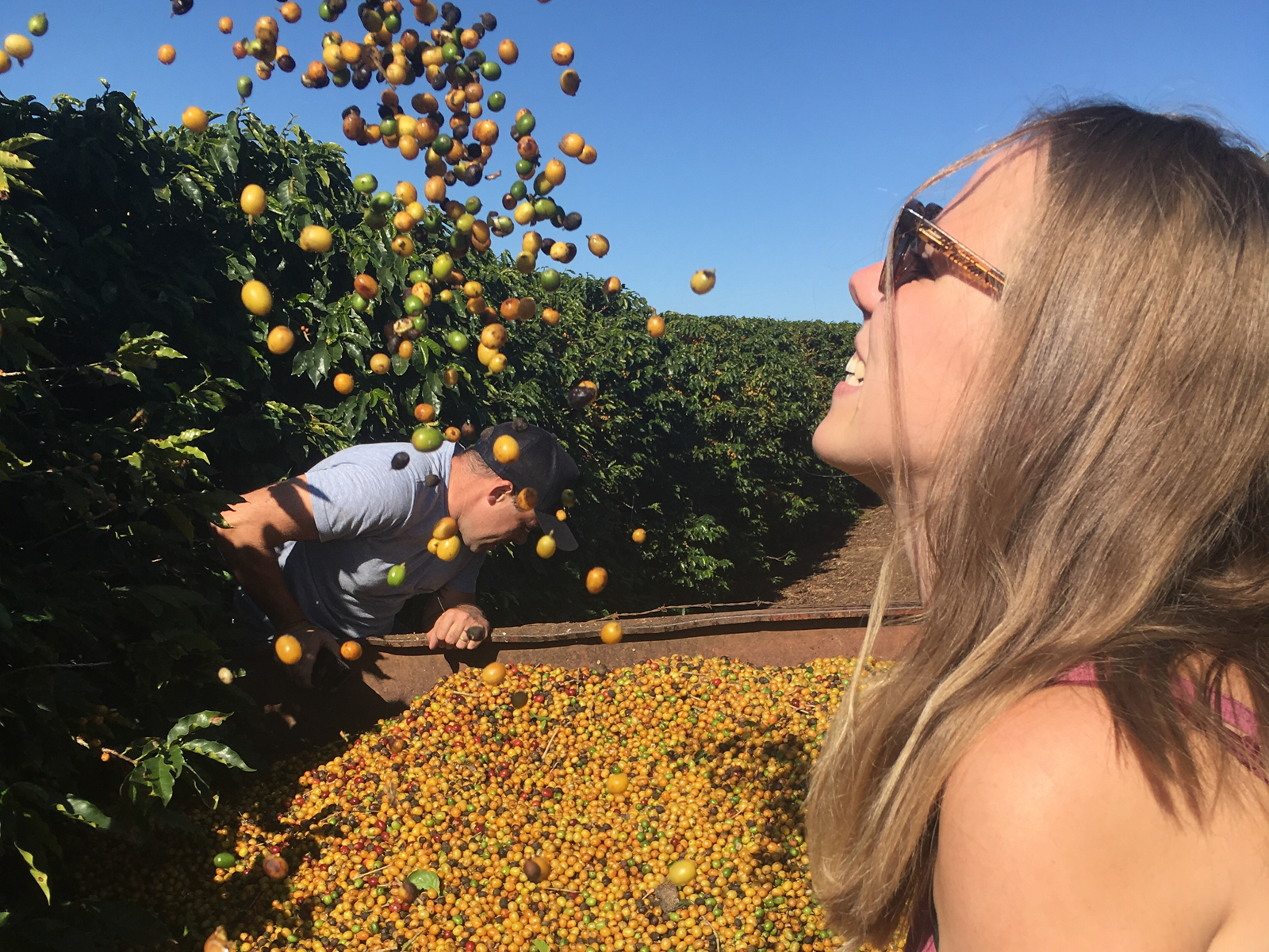 Dagmar Geerlings – Dagger Coffee