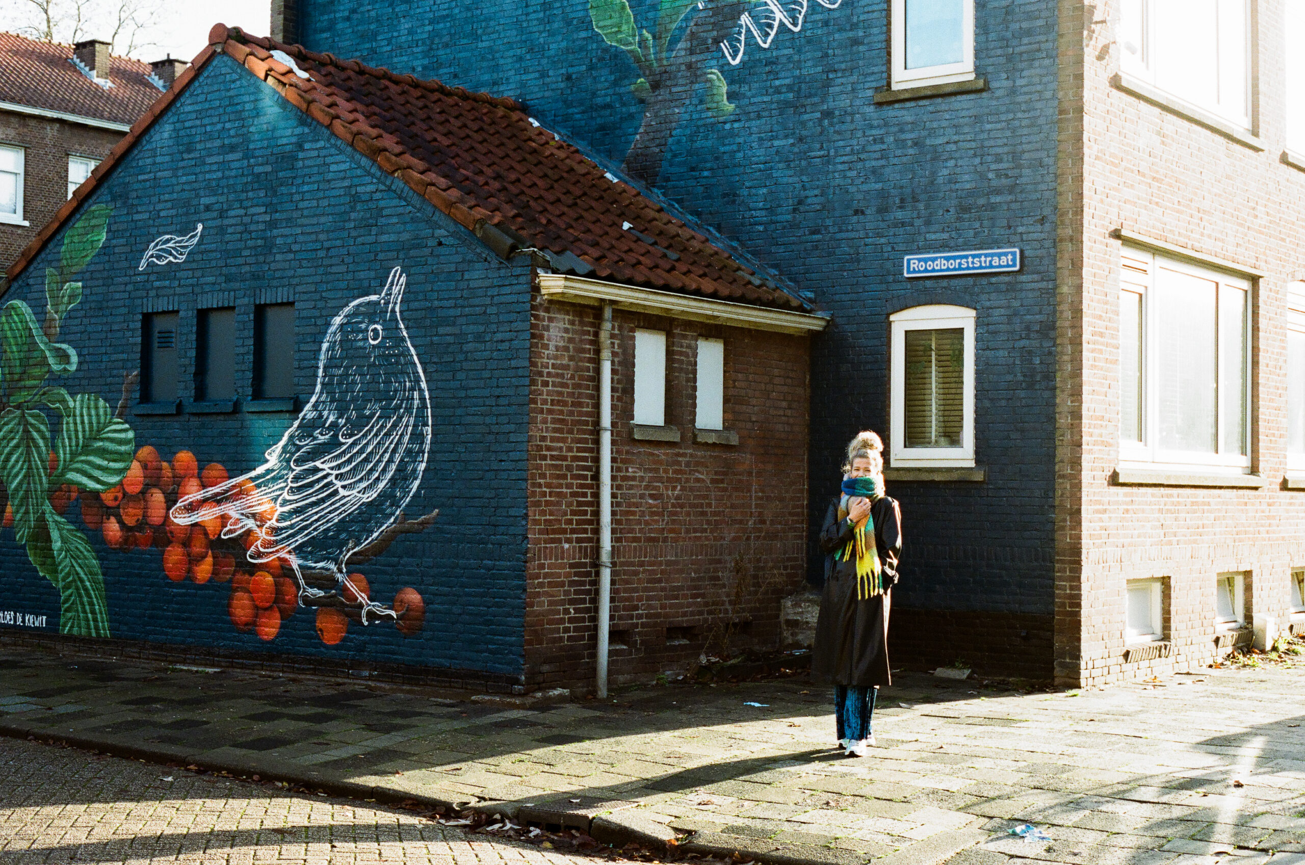 Marloes de Kiewit  – kunstenaar